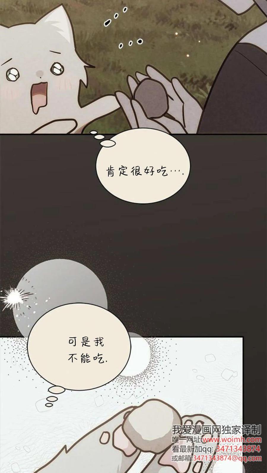第66话-明明是猫，却被狼族收养了？-노찬주（第35张）