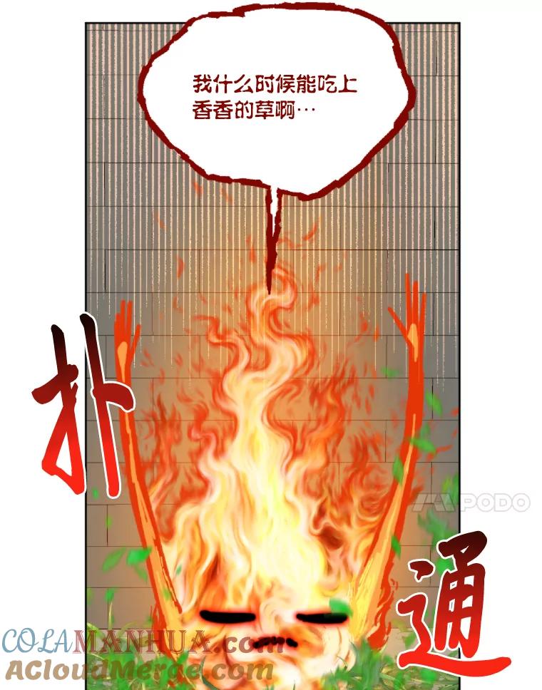 79.jpg