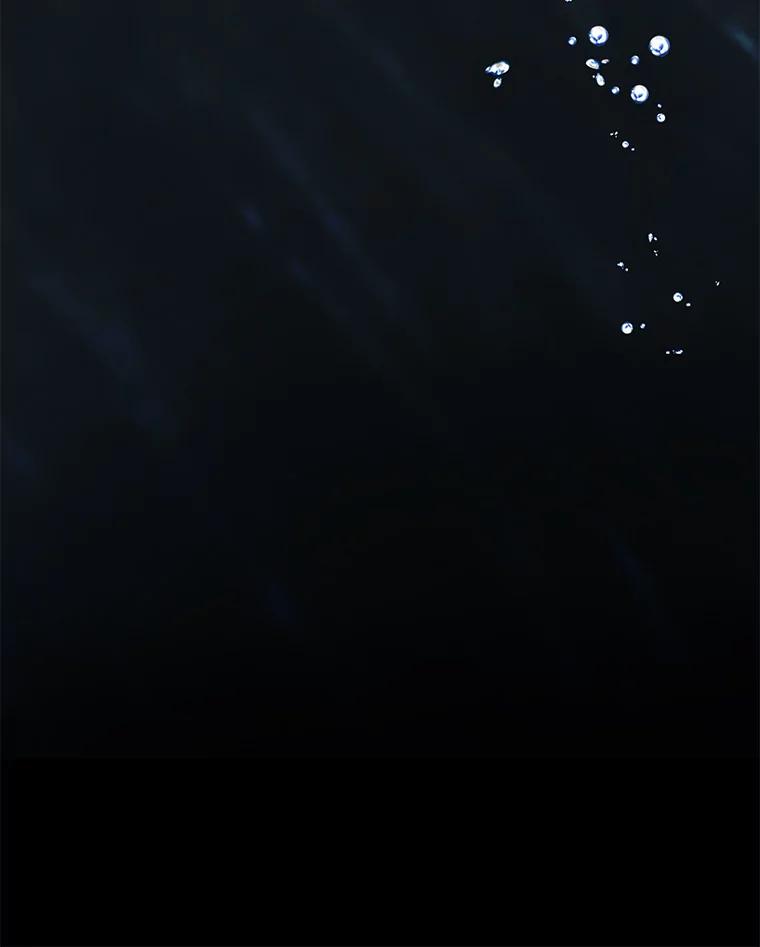 96.jpg