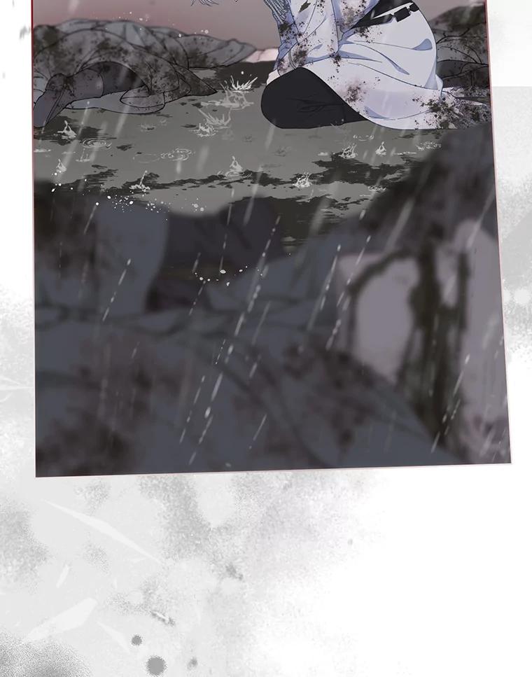 95.jpg