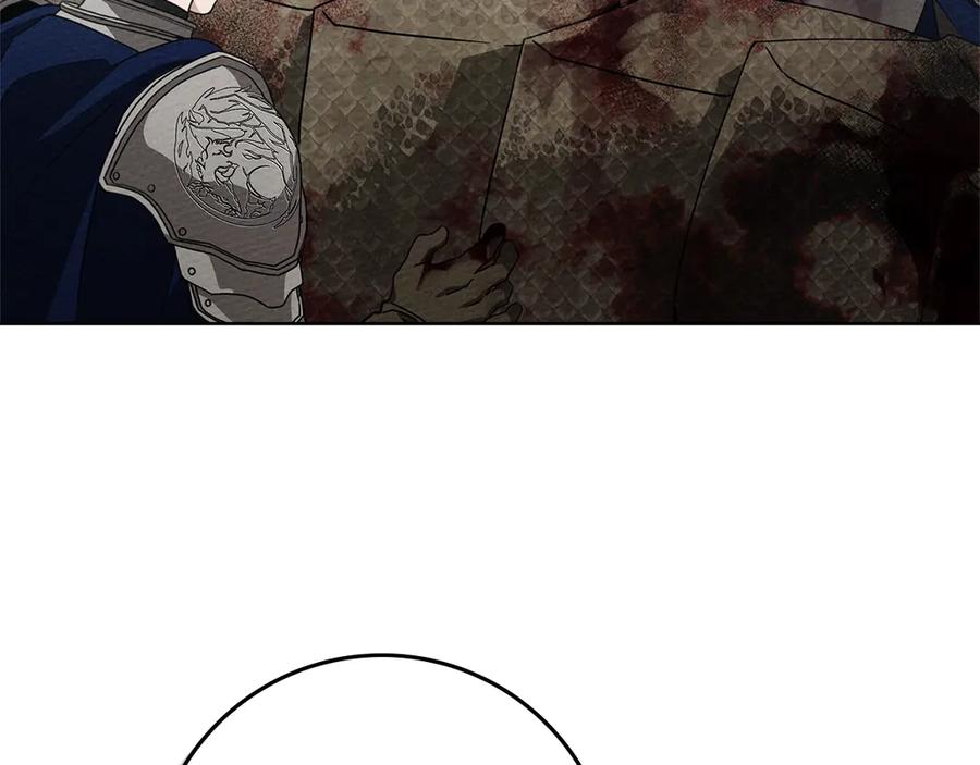 156.jpg