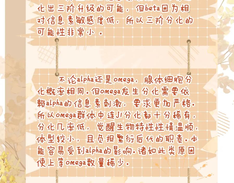 146.jpg