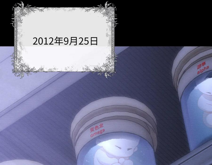 74.jpg