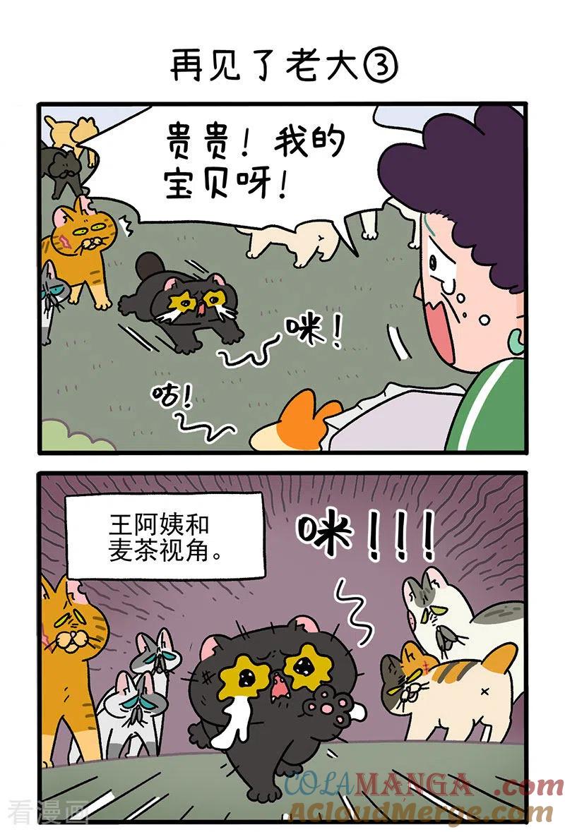 第45话1再见了老大-阿满和麦茶-新漫画 日胖大海寺（第4张）