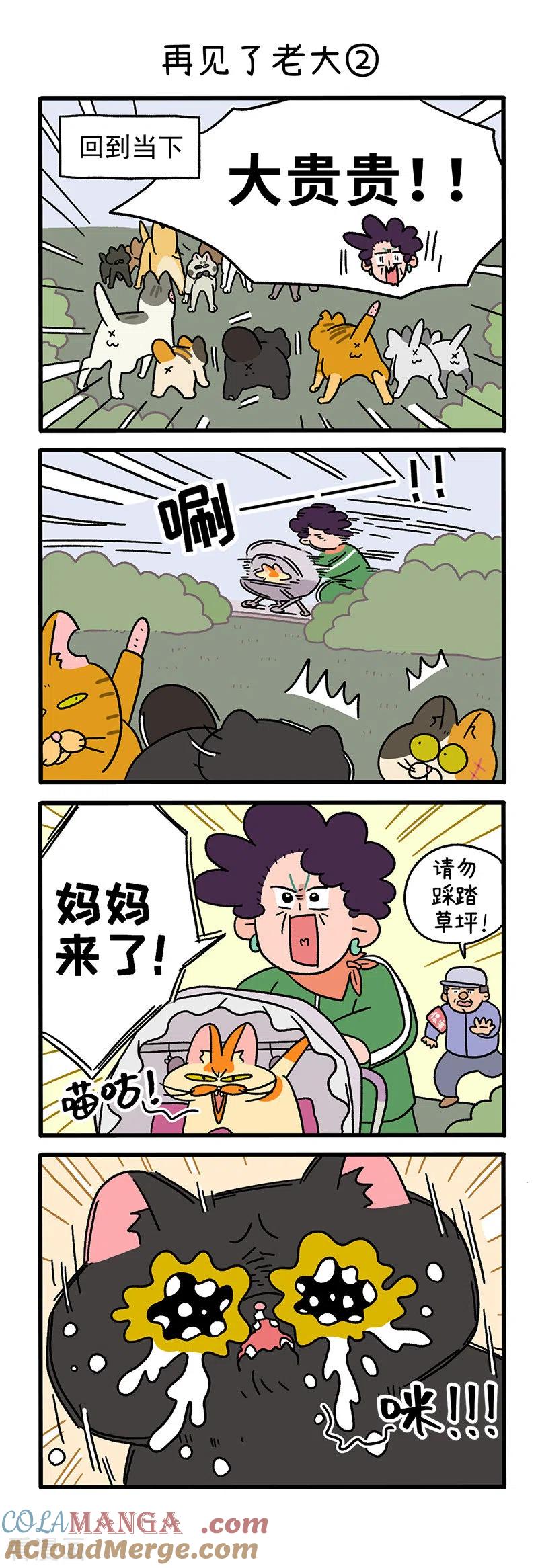 第45话1再见了老大-阿满和麦茶-新漫画 日胖大海寺（第3张）