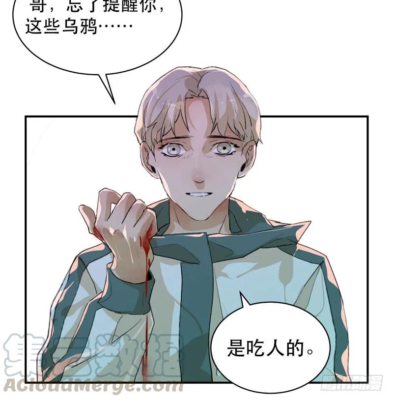 乌鸦，吞噬人神志的白雾！-唇齿之间-Edda（第17张）