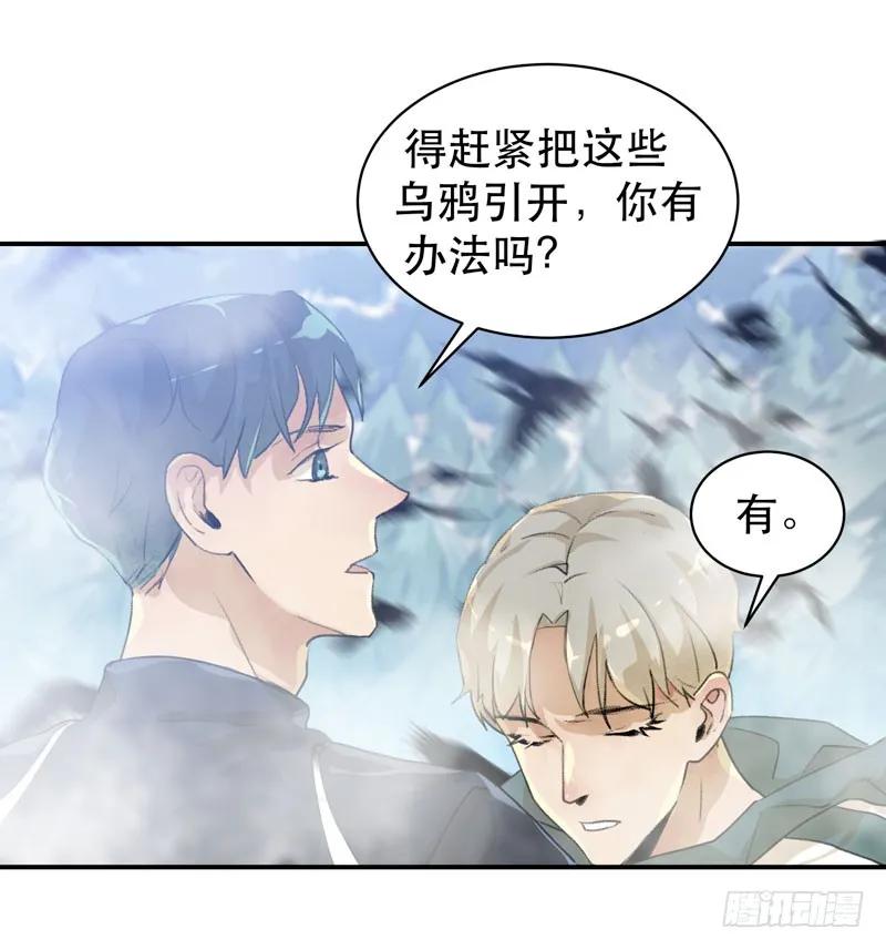 乌鸦，吞噬人神志的白雾！-唇齿之间-Edda（第10张）