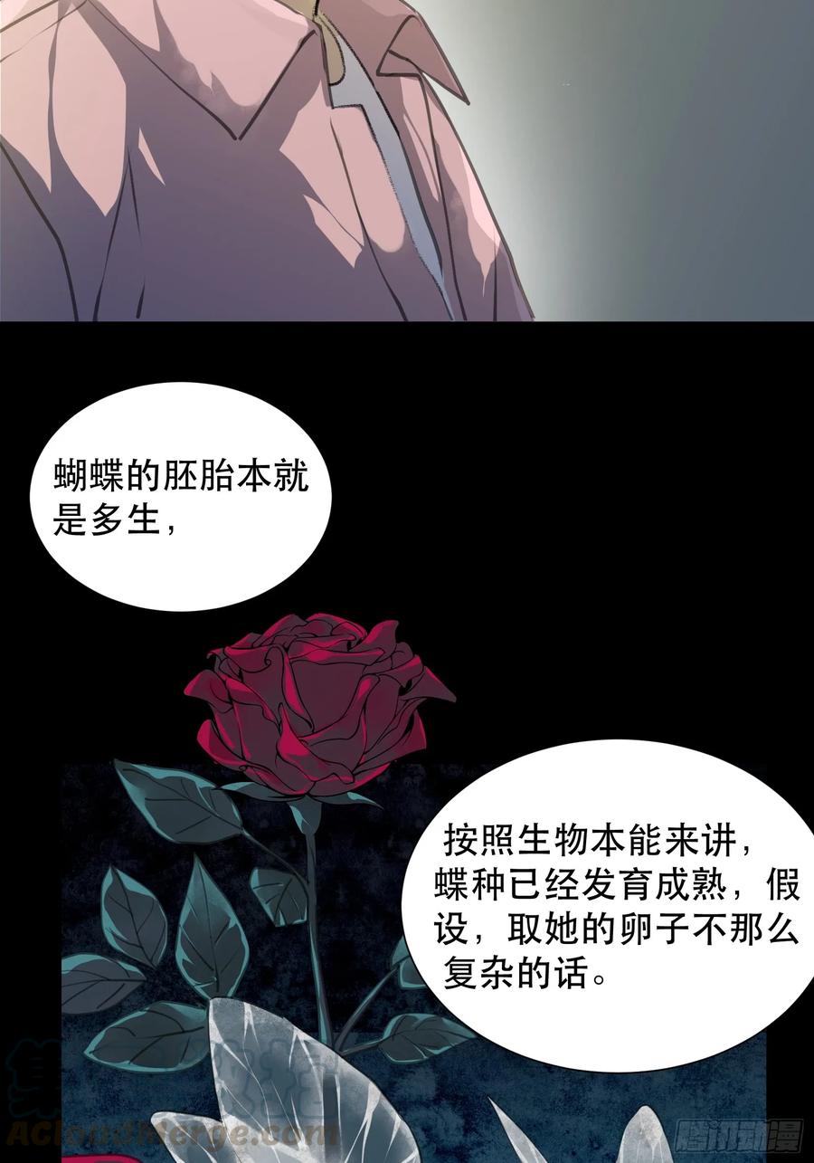 盗取恶魔果实的人-唇齿之间-Edda（第13张）