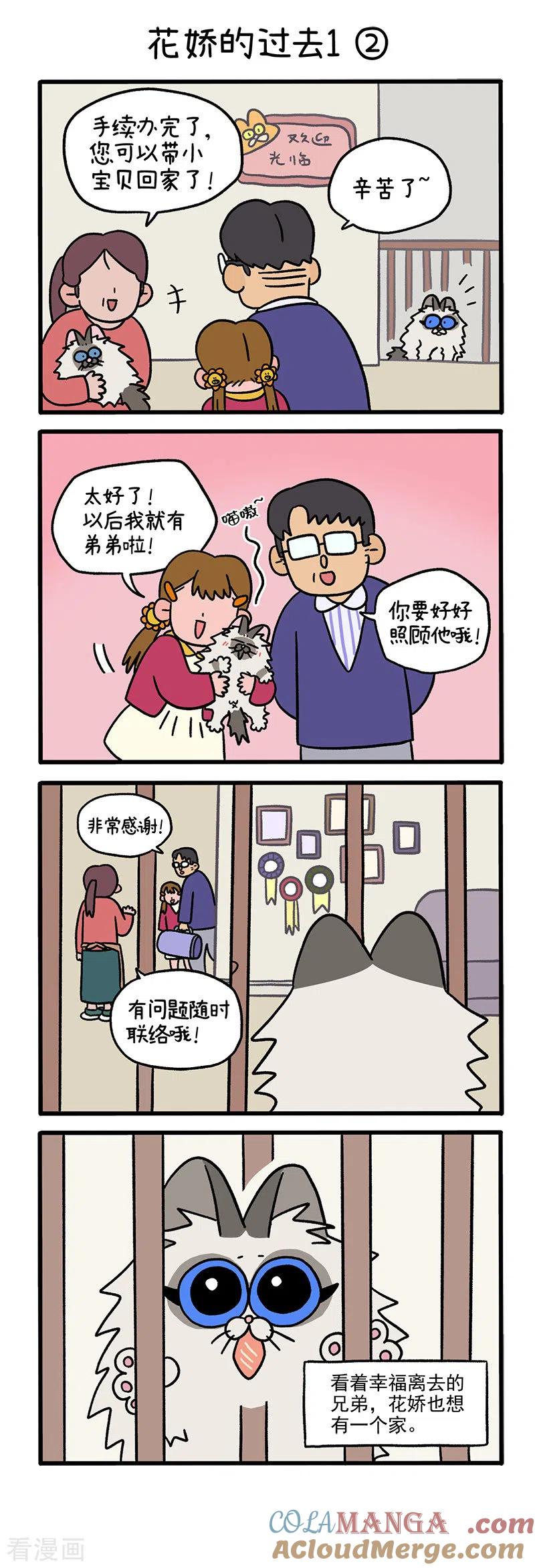 第47话1花娇的过去-阿满和麦茶-新漫画 日胖大海寺（第3张）