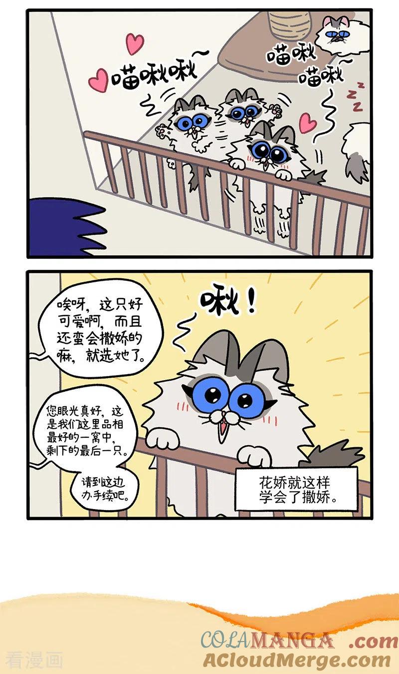 第47话1花娇的过去-阿满和麦茶-新漫画 日胖大海寺（第5张）
