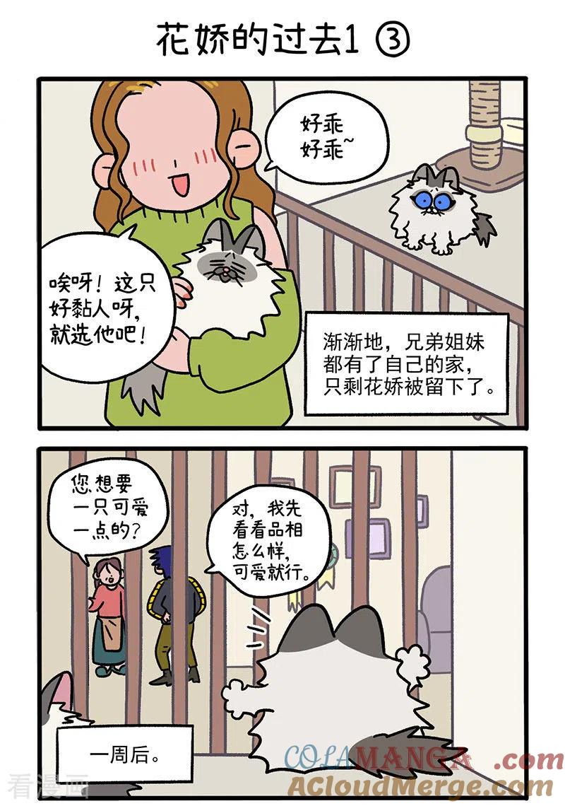 第47话1花娇的过去-阿满和麦茶-新漫画 日胖大海寺（第4张）