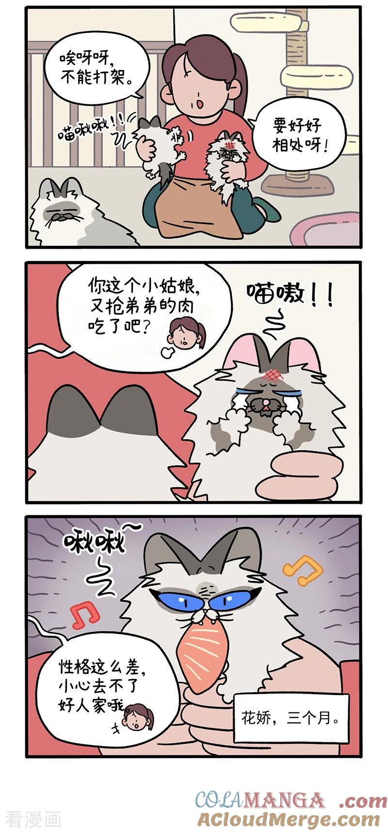 第47话1花娇的过去-阿满和麦茶-新漫画 日胖大海寺（第2张）