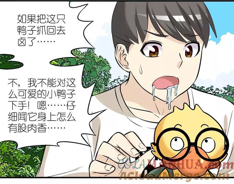 第373话你好鸭1-就想要个女朋友-酷动像（第7张）