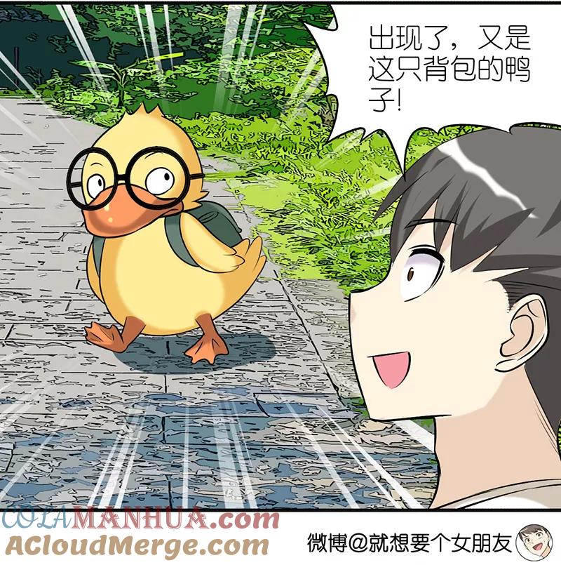 第374话你好鸭2-就想要个女朋友-酷动像（第3张）