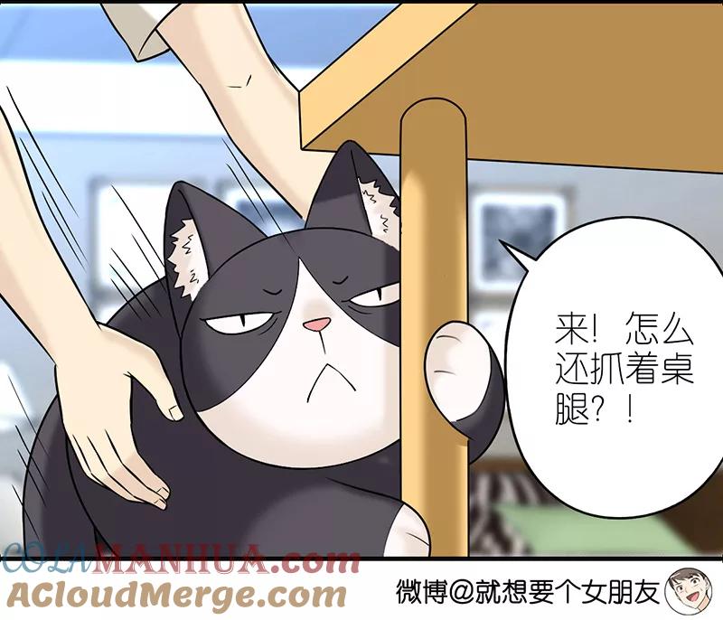 第382话宠物2-就想要个女朋友-酷动像（第3张）