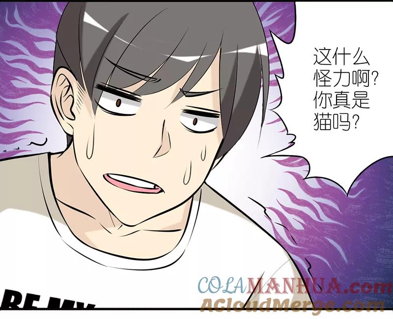第382话宠物2-就想要个女朋友-酷动像（第5张）
