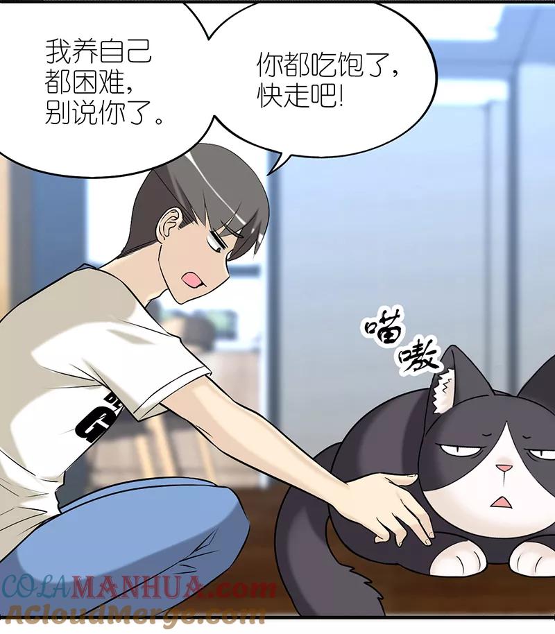第382话宠物2-就想要个女朋友-酷动像（第2张）