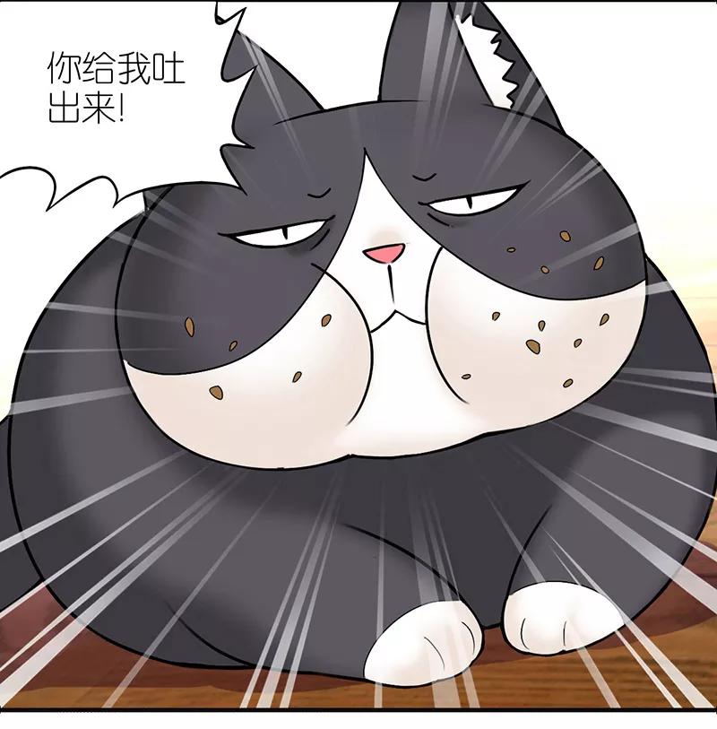 第383话宠物3-就想要个女朋友-酷动像（第4张）