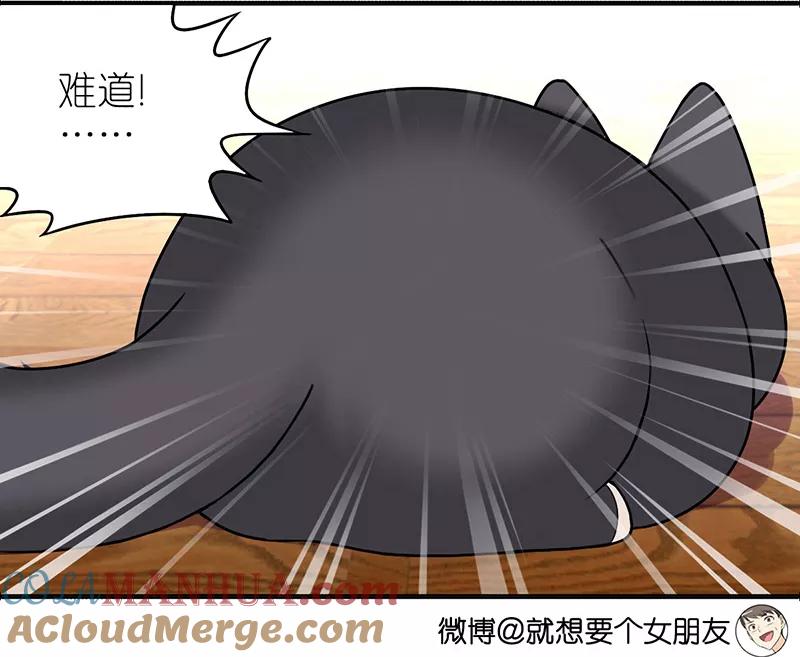 第383话宠物3-就想要个女朋友-酷动像（第3张）