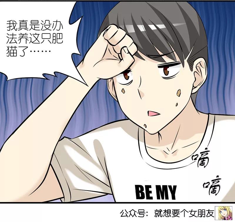 第383话宠物3-就想要个女朋友-酷动像（第6张）
