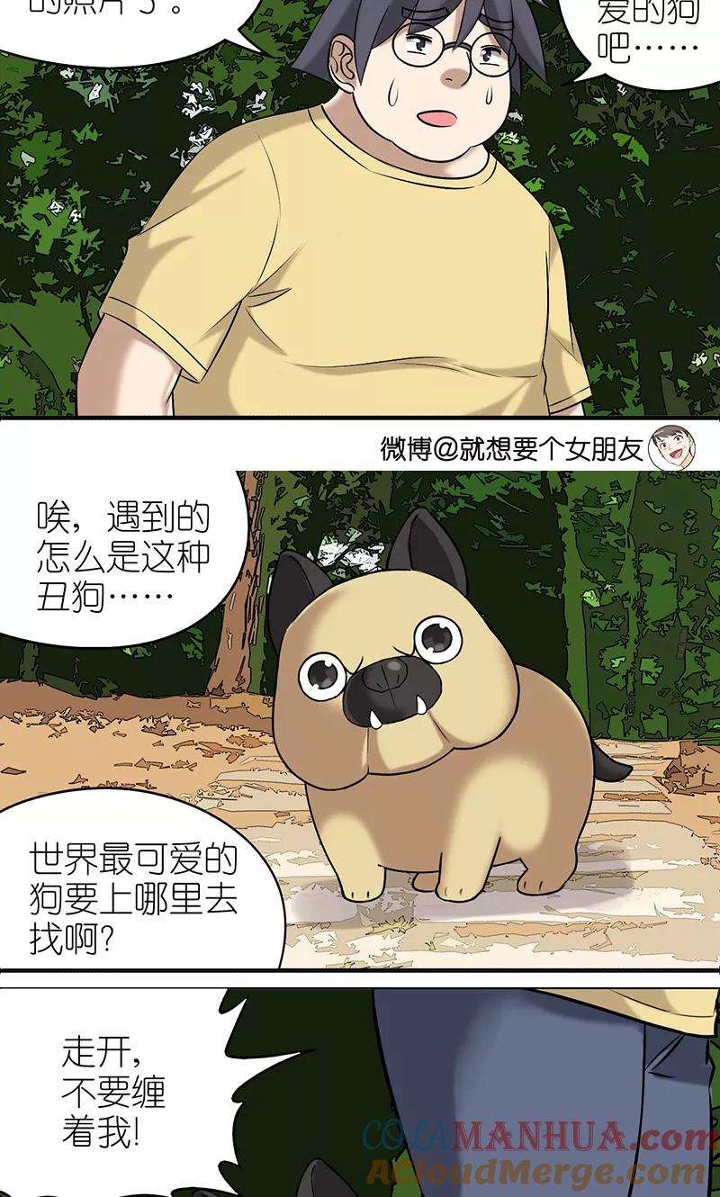第402话七夕的狗粮2-就想要个女朋友-酷动像（第4张）