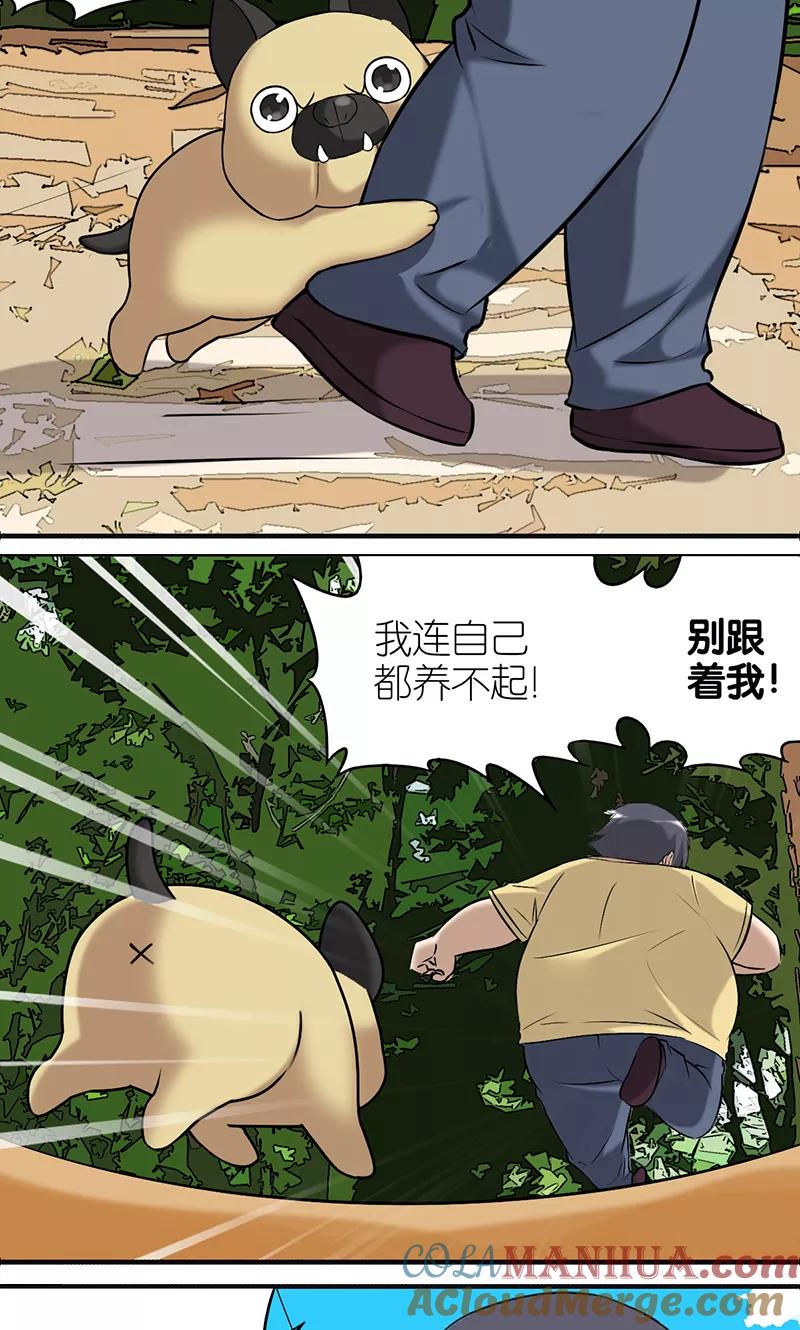 第402话七夕的狗粮2-就想要个女朋友-酷动像（第5张）