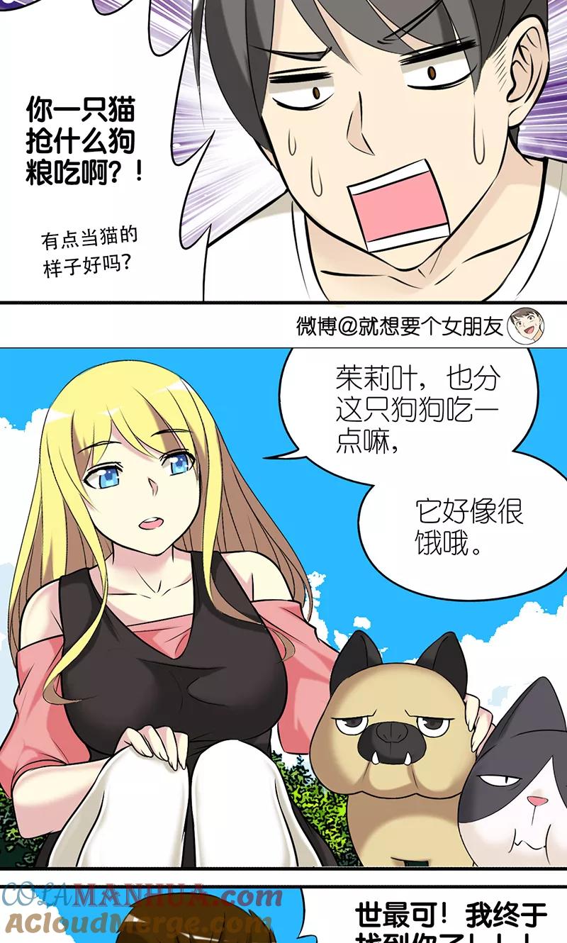 第403话七夕的狗粮3-就想要个女朋友-酷动像（第4张）