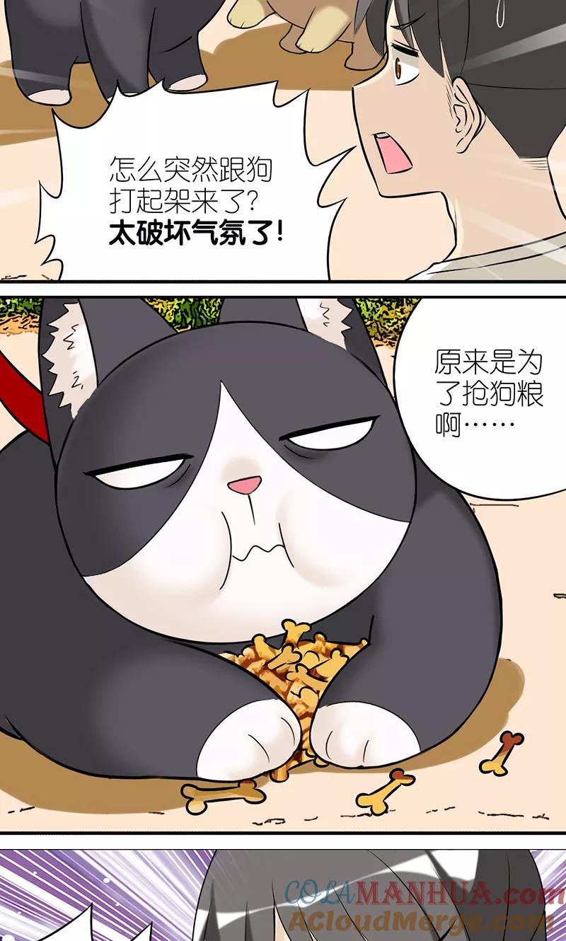 第403话七夕的狗粮3-就想要个女朋友-酷动像（第3张）