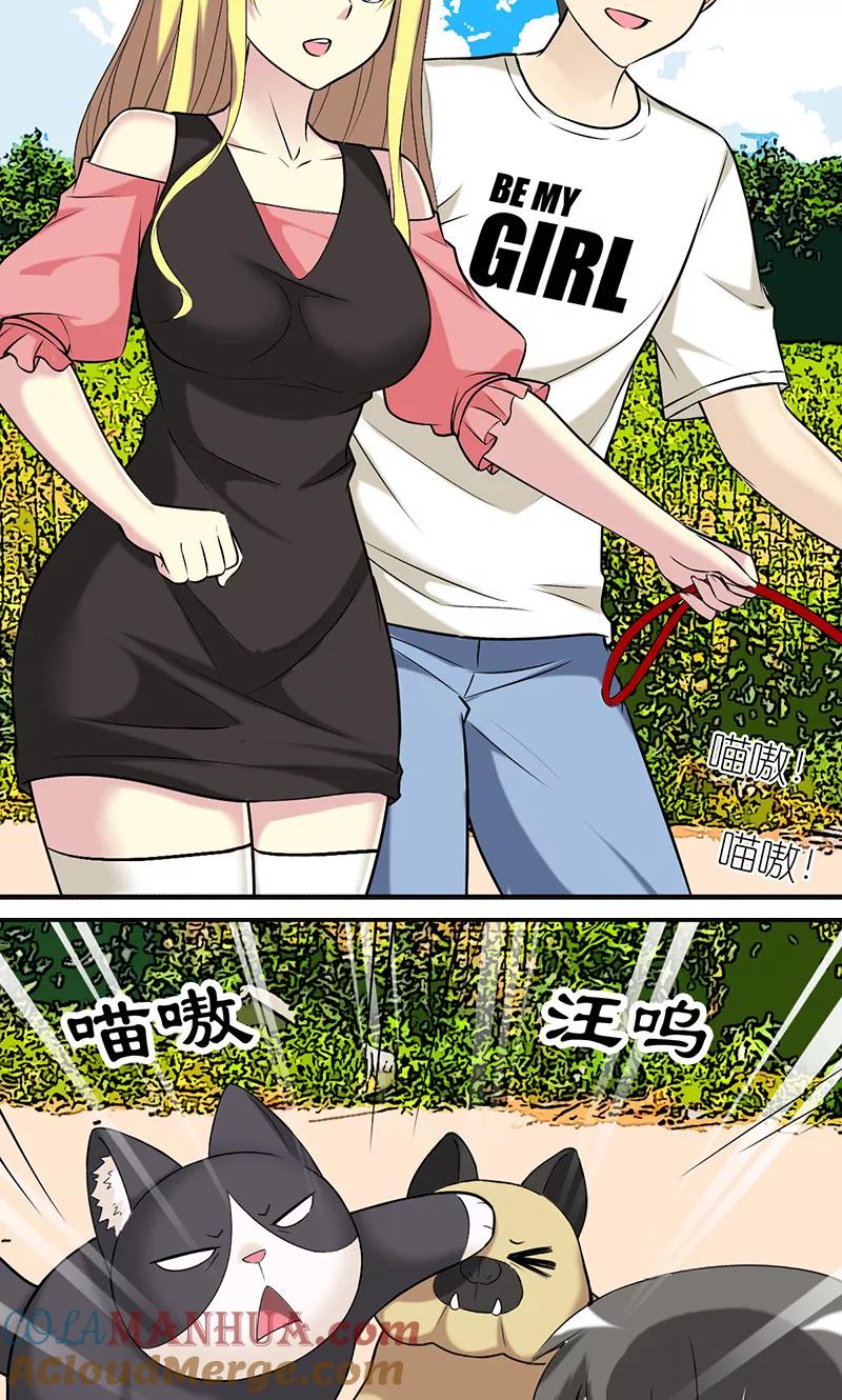 第403话七夕的狗粮3-就想要个女朋友-酷动像（第2张）