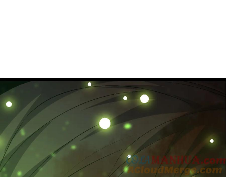 141.jpg