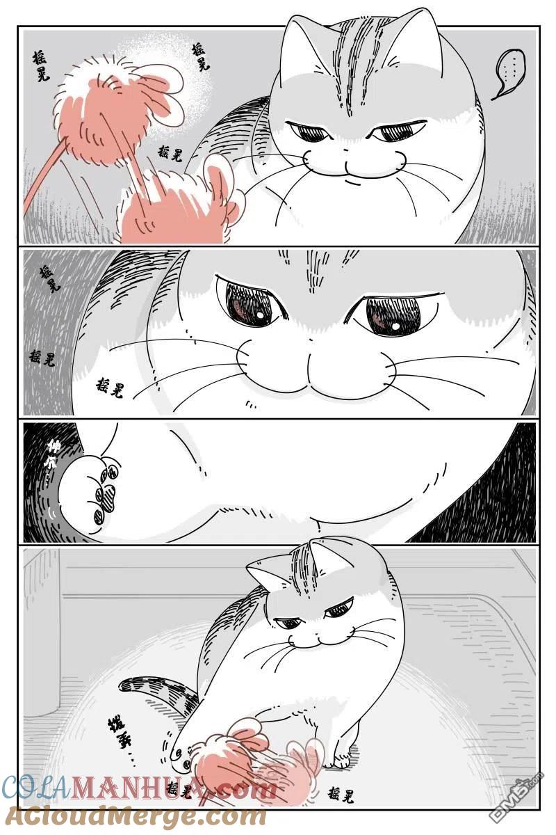 第124话-关于养猫我一直是新手-キュルZ（第1张）
