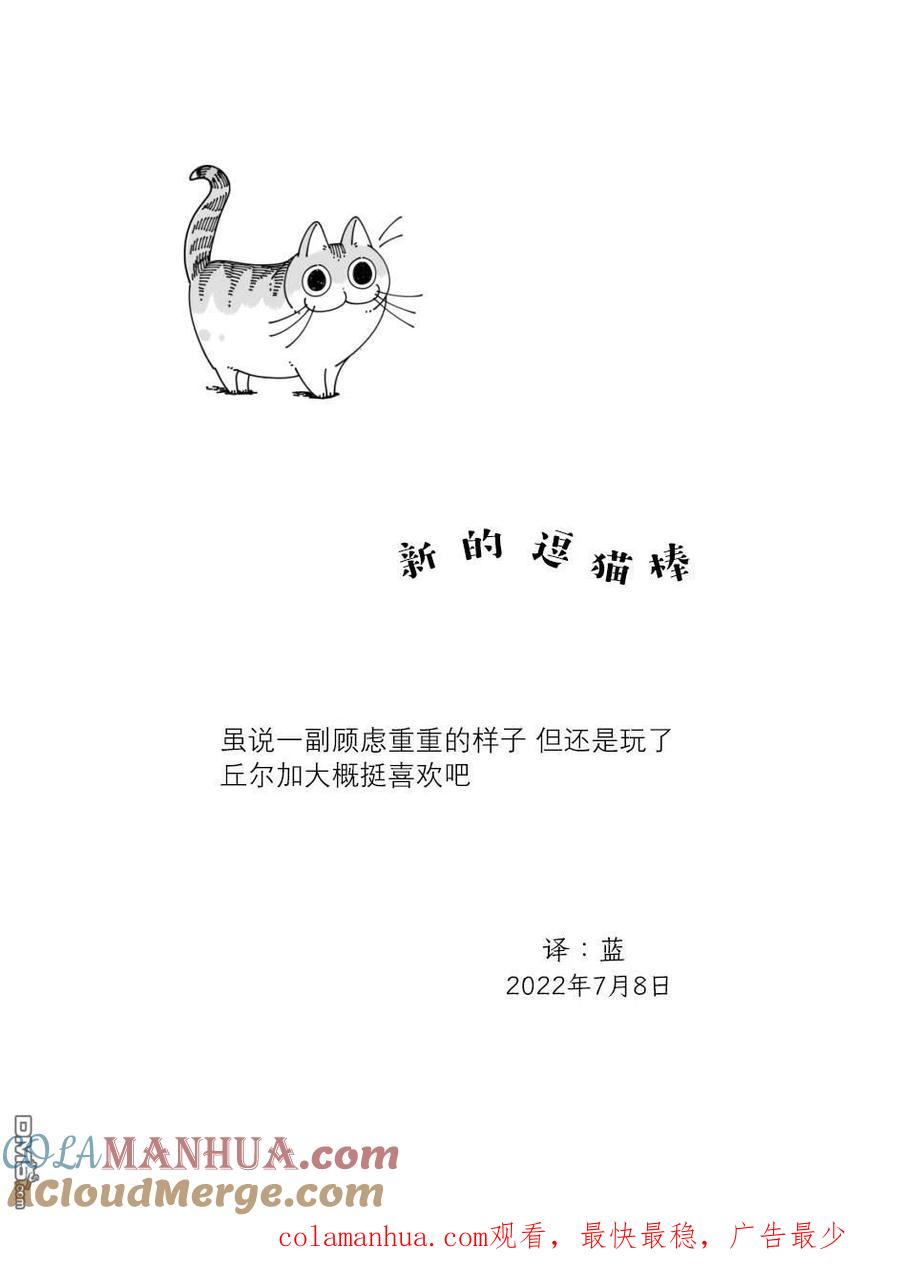 第124话-关于养猫我一直是新手-キュルZ（第3张）