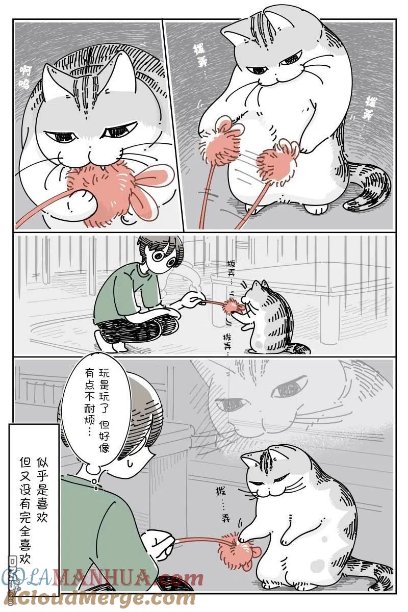 第124话-关于养猫我一直是新手-キュルZ（第2张）