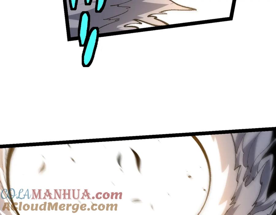 81.jpg