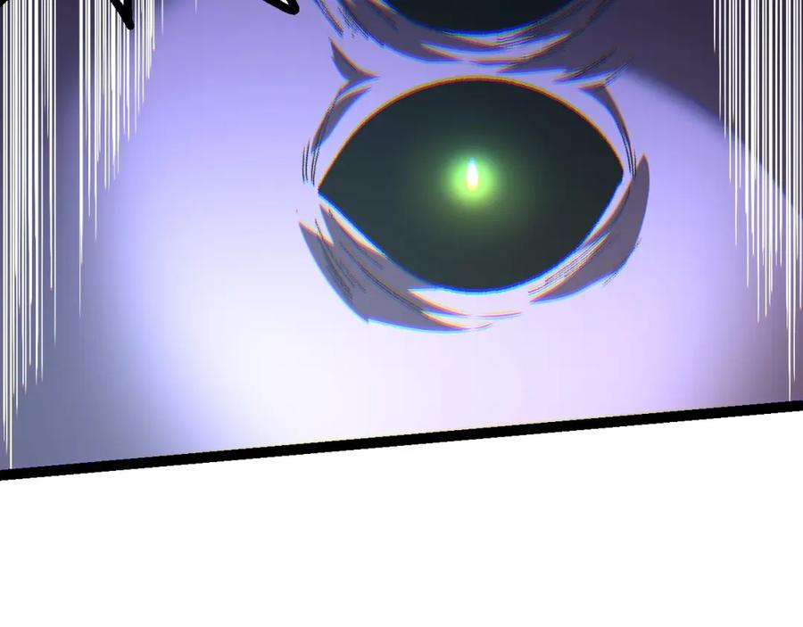 146.jpg