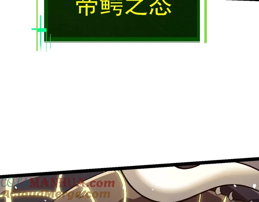 117.jpg