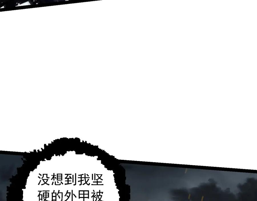 62.jpg