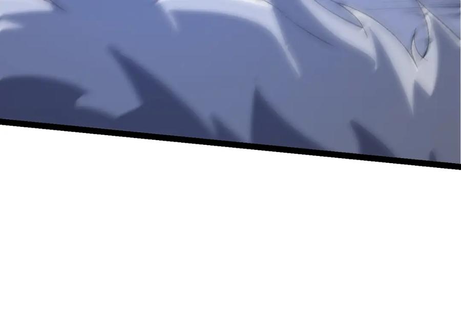 144.jpg