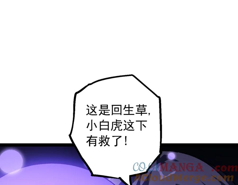 117.jpg