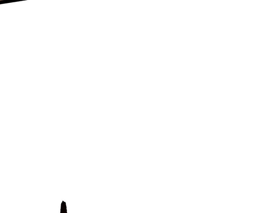 120.jpg