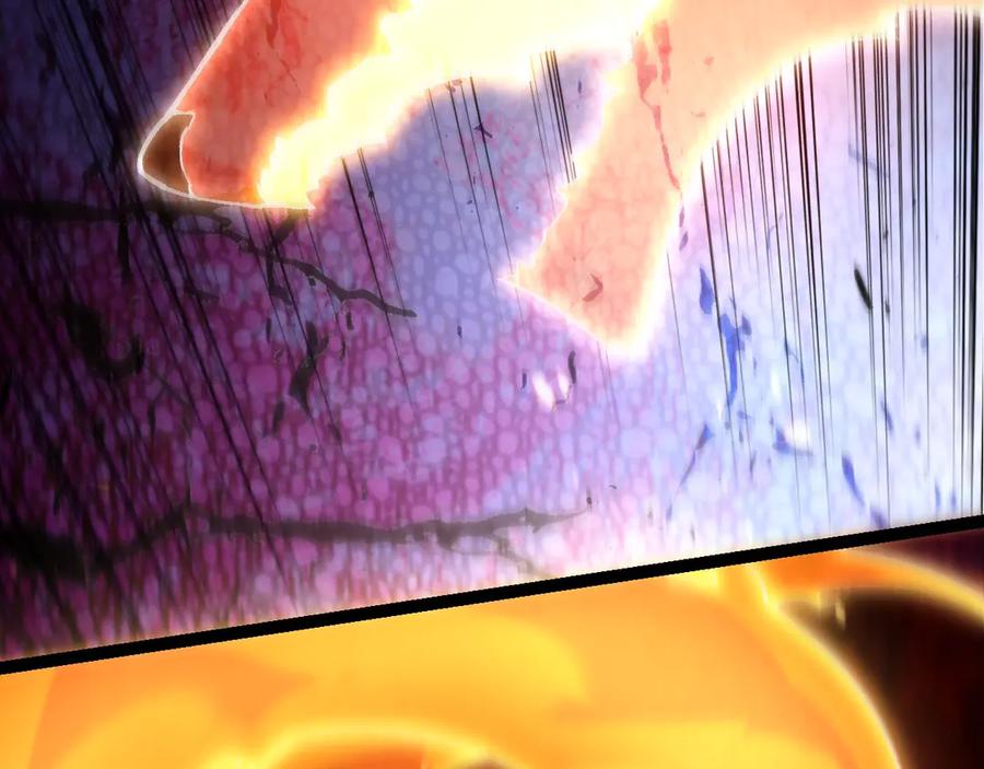 66.jpg