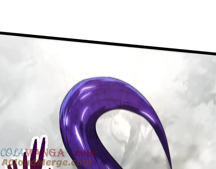 97.jpg