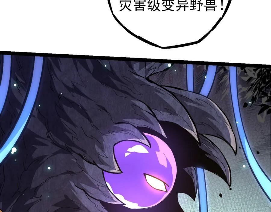 79.jpg