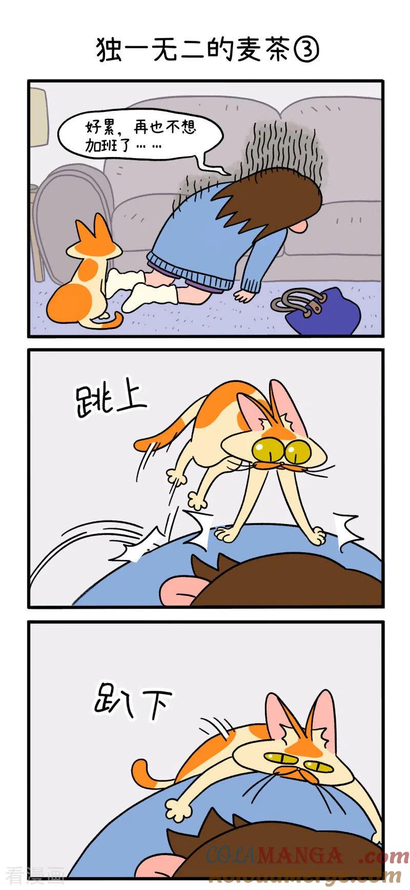 第2话独一无二的麦茶-阿满和麦茶-新漫画 日胖大海寺（第5张）