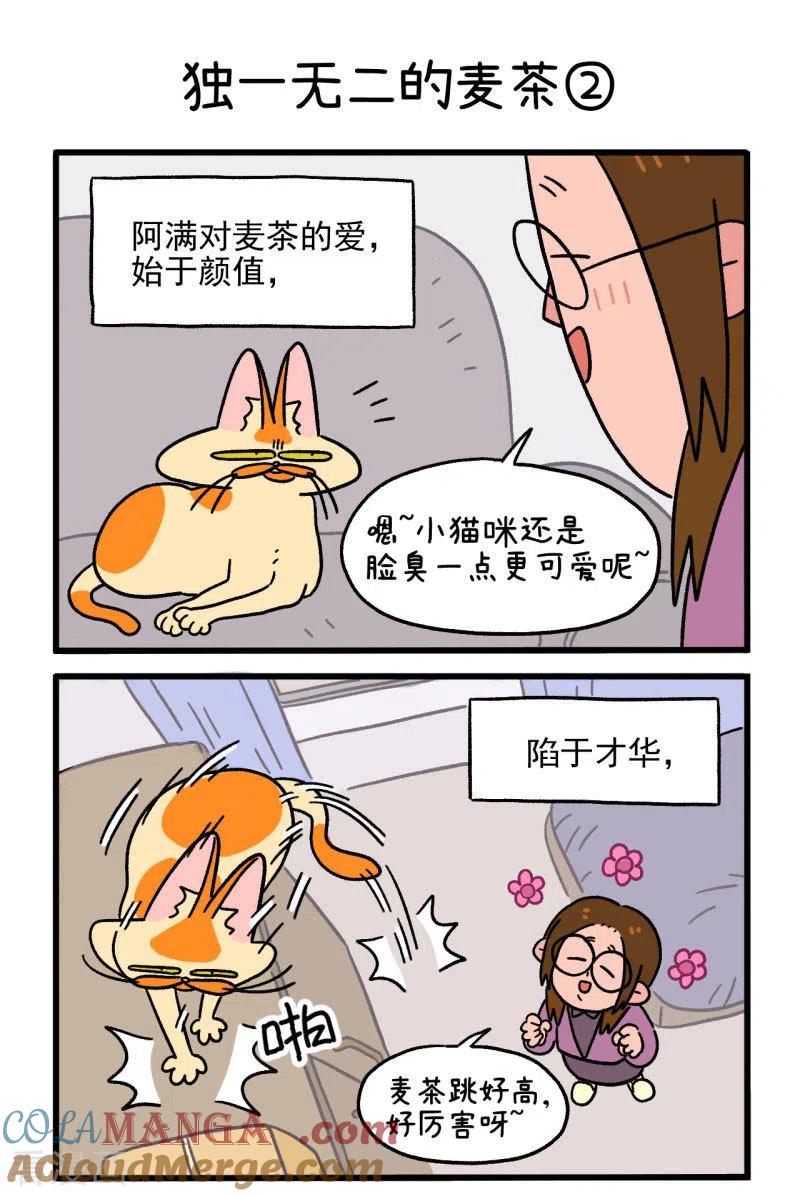 第2话独一无二的麦茶-阿满和麦茶-新漫画 日胖大海寺（第3张）