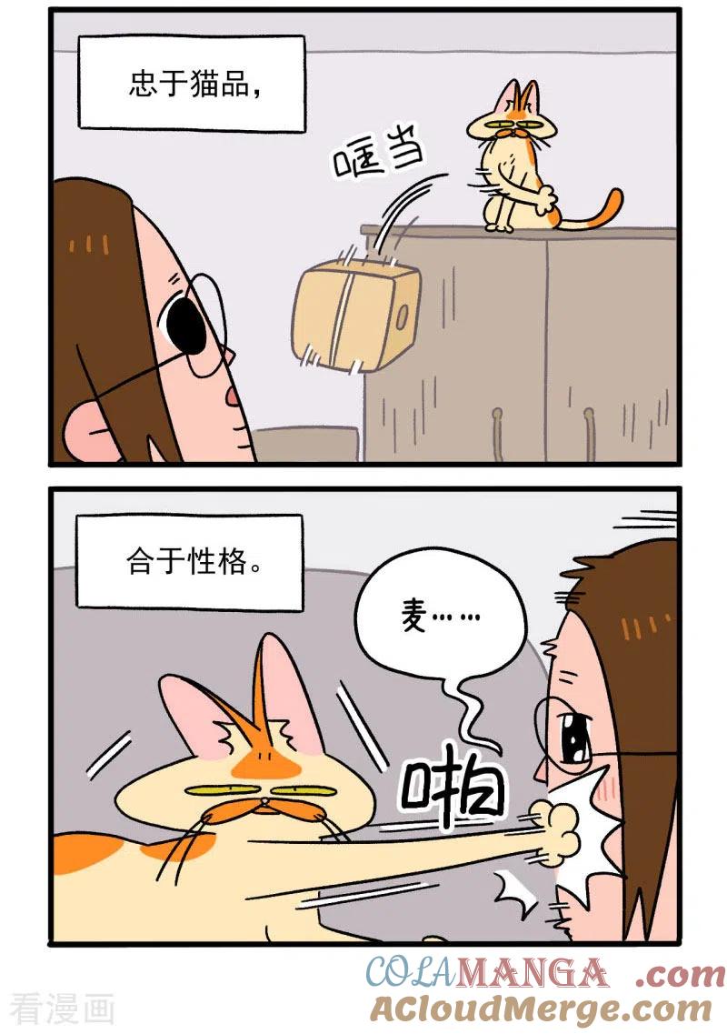 第2话独一无二的麦茶-阿满和麦茶-新漫画 日胖大海寺（第4张）