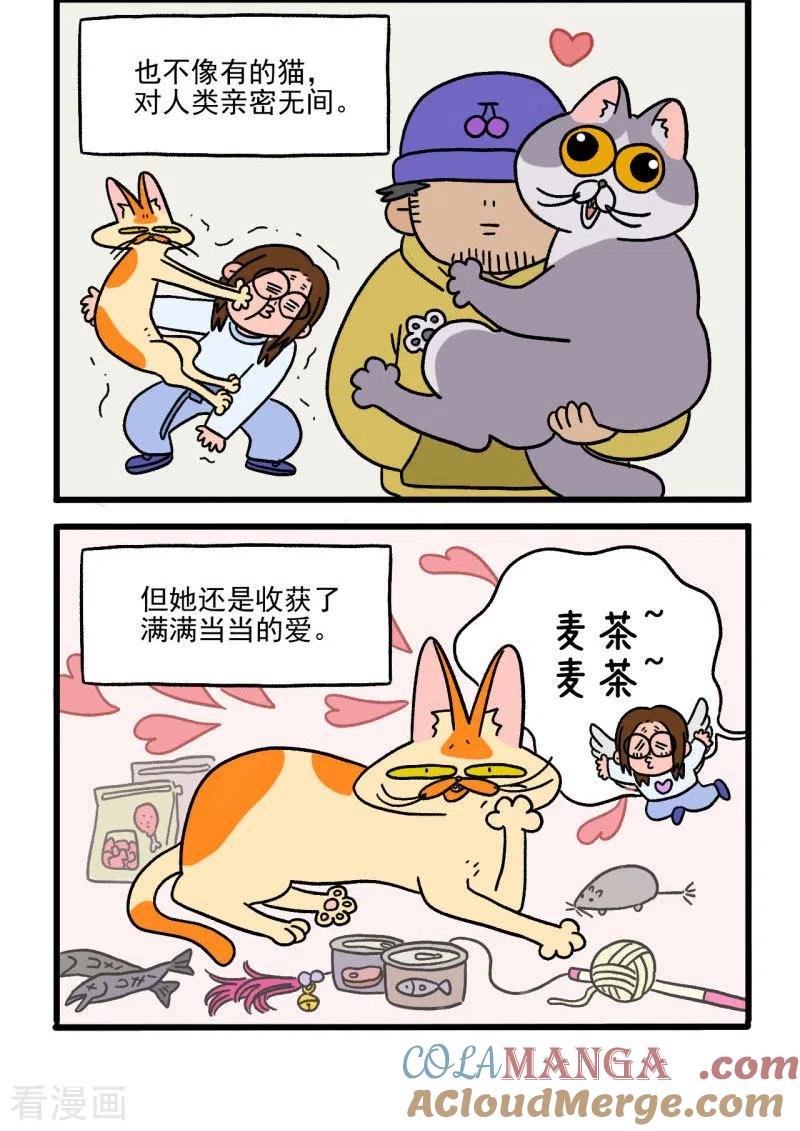 第2话独一无二的麦茶-阿满和麦茶-新漫画 日胖大海寺（第2张）