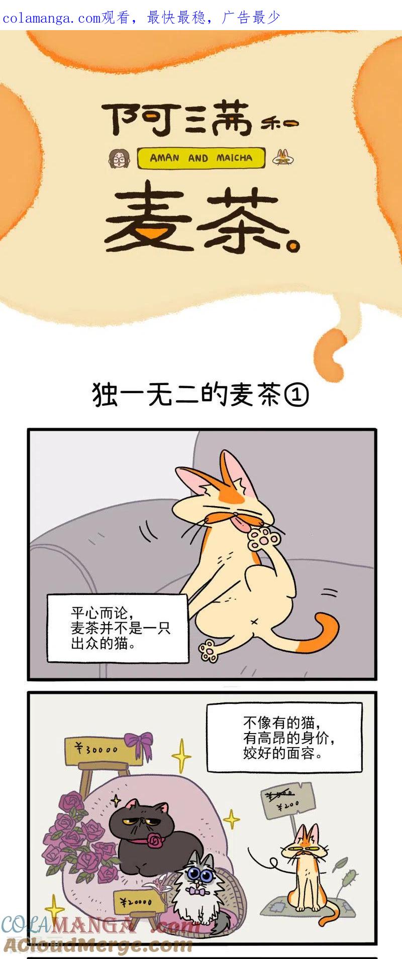 第2话独一无二的麦茶-阿满和麦茶-新漫画 日胖大海寺（第1张）