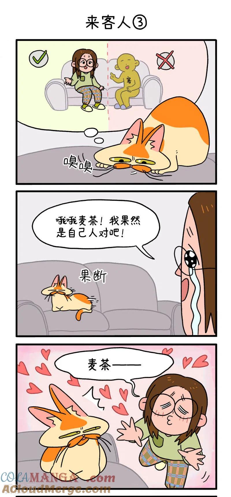 第3话来客人-阿满和麦茶-新漫画 日胖大海寺（第5张）