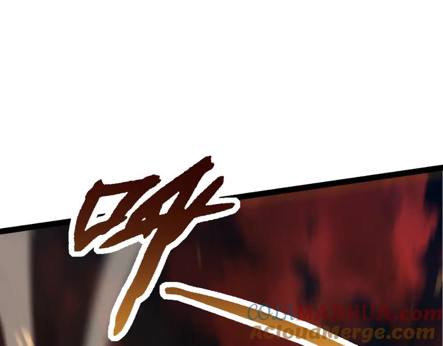 161.jpg